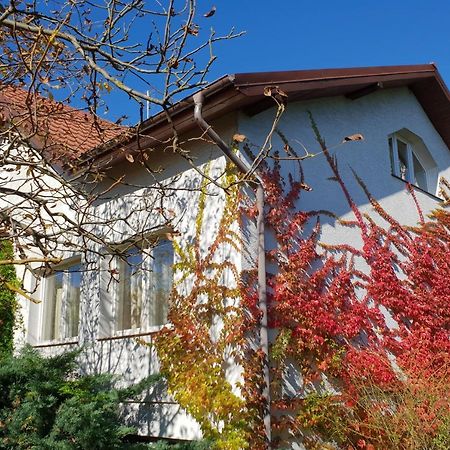 Borowe Kt Villa Warka Dış mekan fotoğraf
