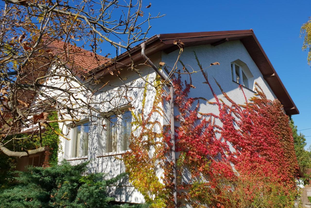 Borowe Kt Villa Warka Dış mekan fotoğraf